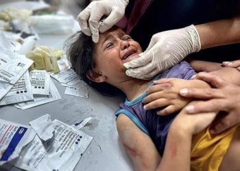 No hospital in Gaza is working at full capacity, Gaza Official Says