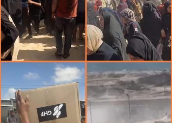 GMO: At Least 10 Killed by Israeli Forces at U.S.-Backed Aid Distribution Point