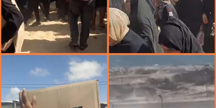 GMO: At Least 10 Killed by Israeli Forces at U.S.-Backed Aid Distribution Point