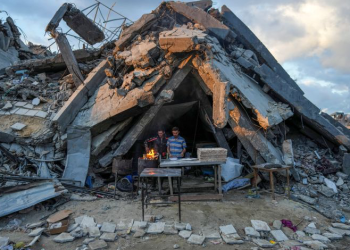 GMO: Gaza Unemployment Soars over 50% Amid Israeli Genocide 