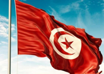 Tunisia Accuses Israel of Systematic Genocide in Gaza