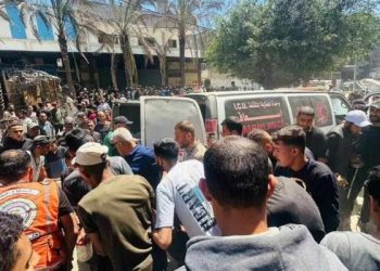 Israeli Airstrike Kills 11 Aid Security Personnel Near Al-Saraya Crossing in Gaza