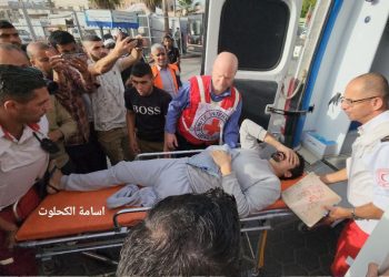 Report: 43 Gazan detainees executed in Israeli custody since October 7