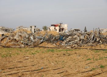 FAO: Gaza’s Agrifood System Collapses as 95% of Cropland Decimated 