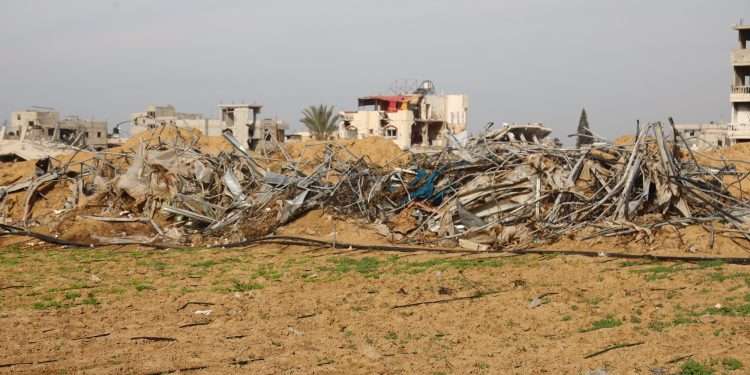 FAO: Gaza’s Agrifood System Collapses as 95% of Cropland Decimated 