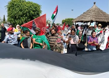 “Resilience Convoy” from North Africa Mobilizes to Break Gaza Siege