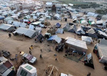 No Sleep in Gaza: Mosquitoes Add to the Torment of War