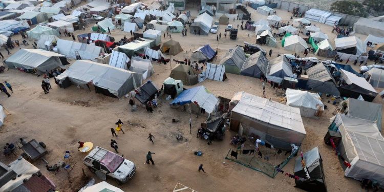 No Sleep in Gaza: Mosquitoes Add to the Torment of War