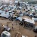 No Sleep in Gaza: Mosquitoes Add to the Torment of War