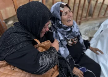 IOF Massacre: Over 35 Killed Near Aid Distribution Point in Rafah