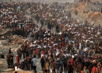 Seeking Food in Gaza Must Not Be ‘Death Sentence,’ Says MSF