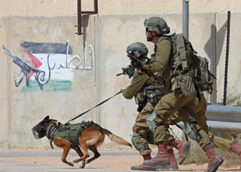 Leaked EU Report Exposes European Complicity in Gaza Genocide: The Netherlands Under Fire