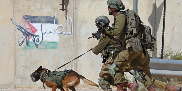 Leaked EU Report Exposes European Complicity in Gaza Genocide: The Netherlands Under Fire