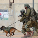 Leaked EU Report Exposes European Complicity in Gaza Genocide: The Netherlands Under Fire