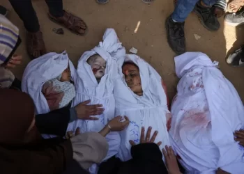 Germany Approves Over €485 Million in Arms Exports to Israel Since Gaza War Started 