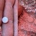 Gaza Warns of Drug-Contaminated Flour in U.S.-Israeli Centers