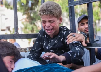 IOF Kills 16 Civilians in New Massacre Targeting Starving Palestinians in Gaza