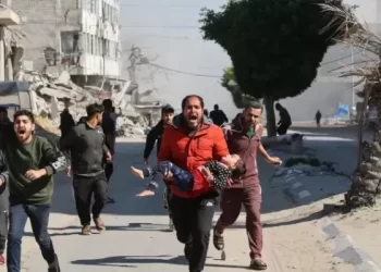 Israel Kills 72 in 24 Hours as Gaza Genocide Enters Day 617