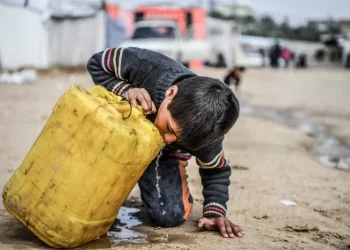 Amnesty: Gaza Faces Mass Starvation, Immediate and Permanent Ceasefire Needed