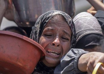 WFP: Humanitarian system collapses in Gaza amid famine