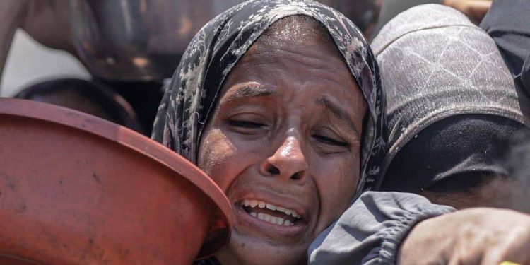 WFP: Humanitarian system collapses in Gaza amid famine