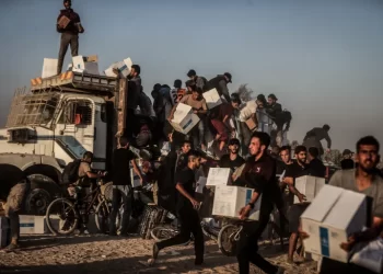 Over 700 Palestinians Killed at Gaza Aid Sites