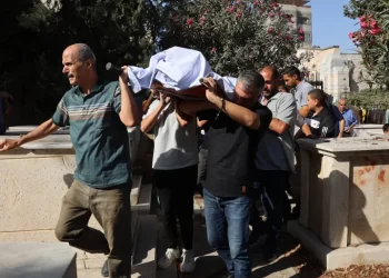 15 Palestinians Killed on the 651st Day of Israeli Genocide in Gaza