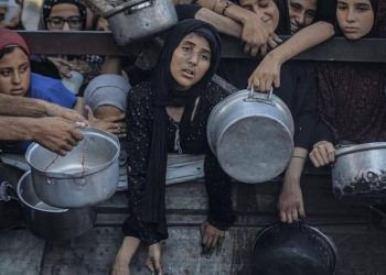 One in Three Gazans Go Days Without Food, Warns UN Official