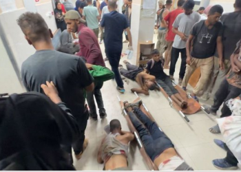 IOF Kills 50 Palestinians since Morning Hours in Gaza