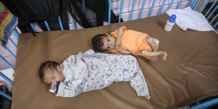 Gaza Baby Formula Crisis Threatens 100,000 Infants