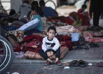 MSF: Malnutrition in Gaza Reaches Catastrophic Levels