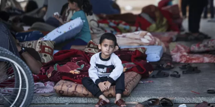 MSF: Malnutrition in Gaza Reaches Catastrophic Levels