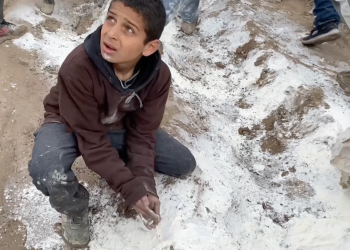 Rotten Aid and Toxic Flour: Gaza Families Expose Contaminated Food Deliveries