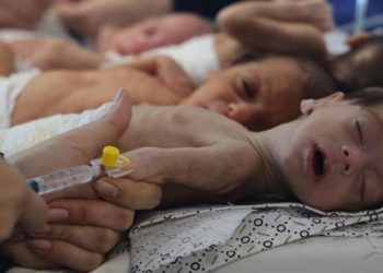 New Gazan Infant Dies from Starvation as Israeli Siege Triggers Worsening Humanitarian Crisis