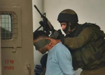 Mass Arrest Campaign Sweeps West Bank