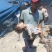 Israeli Forces Escalate Massacres in Gaza amid Going Genocide