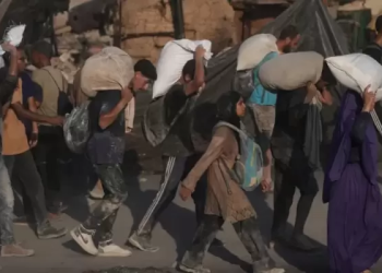 Aid Truck Tragedy Kills 20 Palestinians in Central Gaza
