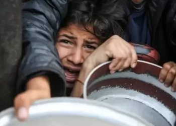 Gaza Death Toll from Starvation Rises to 217