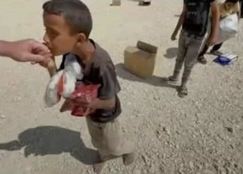 ‘He Went to Get Food and Never Came Back’: Family of Killed Gaza Boy Still Waiting for His Body