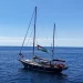 Global Sumud Flotilla: A Wave Israel Cannot Stop