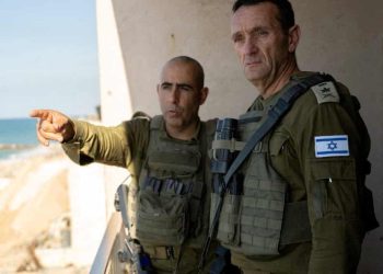 Halevi‘s Confirmation of Casualties Proves Figures of Gaza’s Health Ministry Accurate