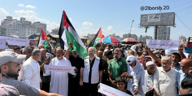 Israeli Broadcaster: Displacement from Gaza Has Not Exceeded 10% Despite Evacuation Orders