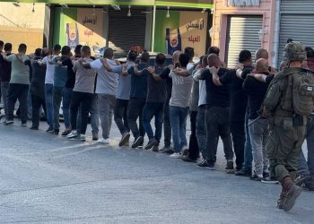 IOF kills 25 Palestinians since Dawn in Gaza