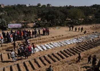 Palestinian Civil Defense slams ‘double standards’ over recovering bodies in Gaza
