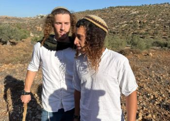 Israeli Settlers Attack Farmers During Olive Harvest in West Bank
