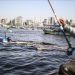 Israeli Forces Arrest 3 Palestinian Fishermen Off Gaza Coast