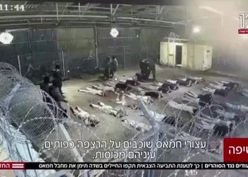 In Israel, Torturing Palestinian Prisoners Is Tolerated — Exposing It Is Treason