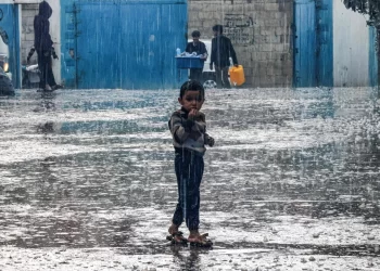 UNRWA Warns Gaza Facing Winter Disaster Without Immediate Shelter Aid