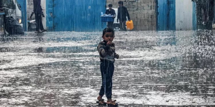 UNRWA Warns Gaza Facing Winter Disaster Without Immediate Shelter Aid