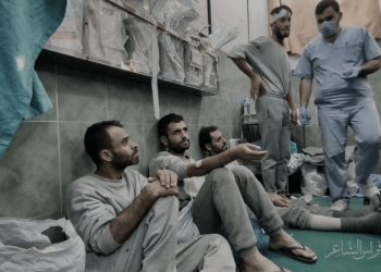Israeli Doctors’ Union Rejects Role in Palestinian Executions Citing Ethical Violation 